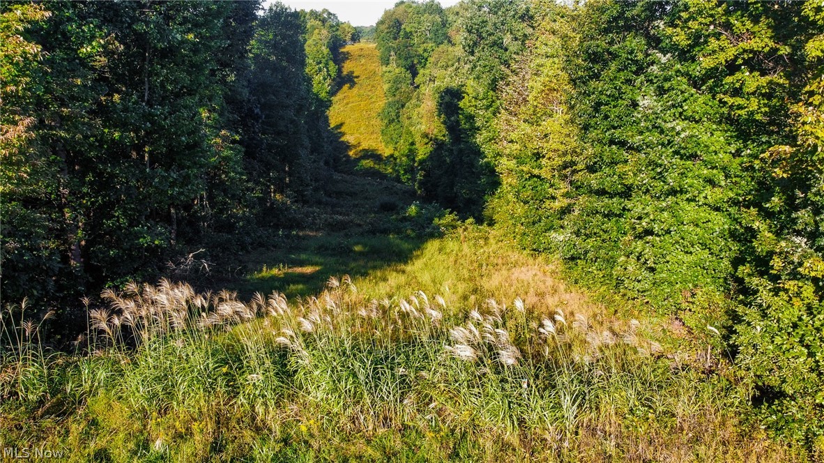 Kings Ridge Road Newcomerstown OH 43832