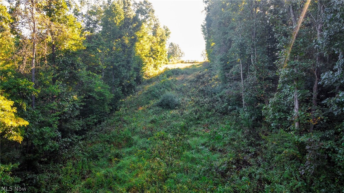 Kings Ridge Road Newcomerstown OH 43832