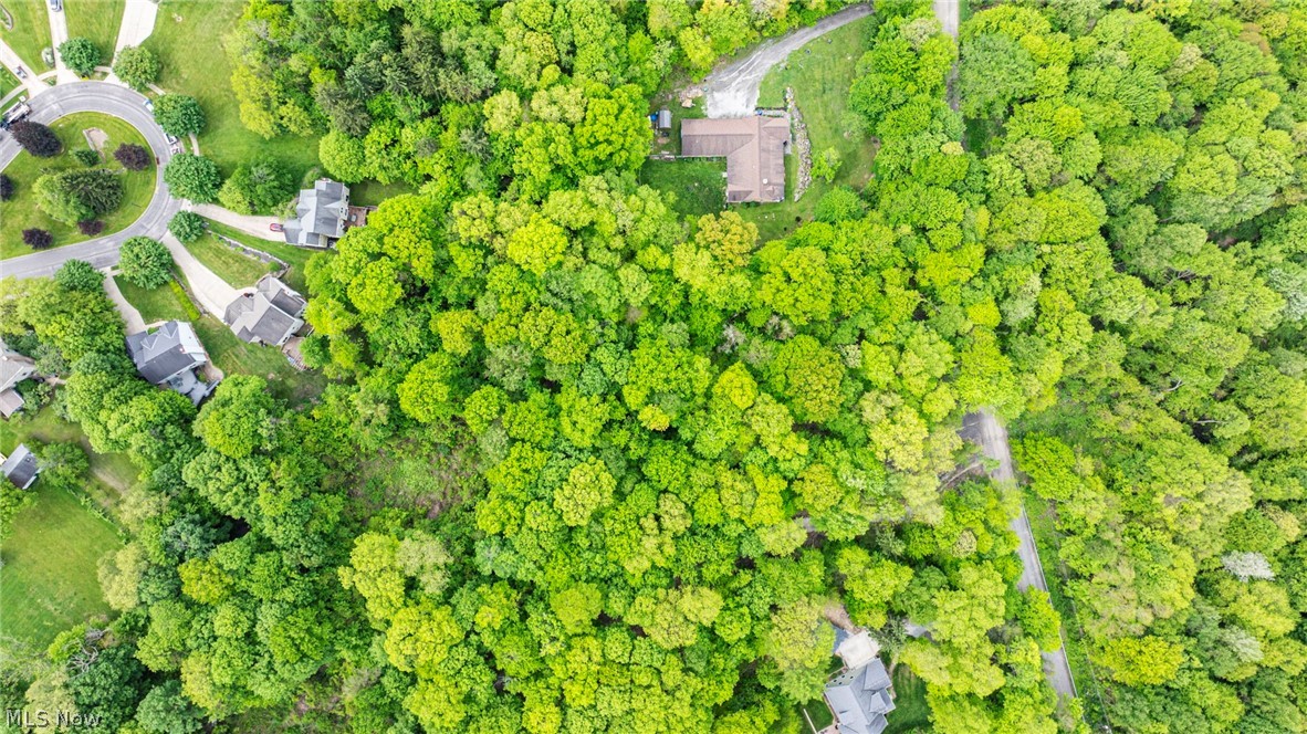 13561 Colony Lane Burton OH 44021