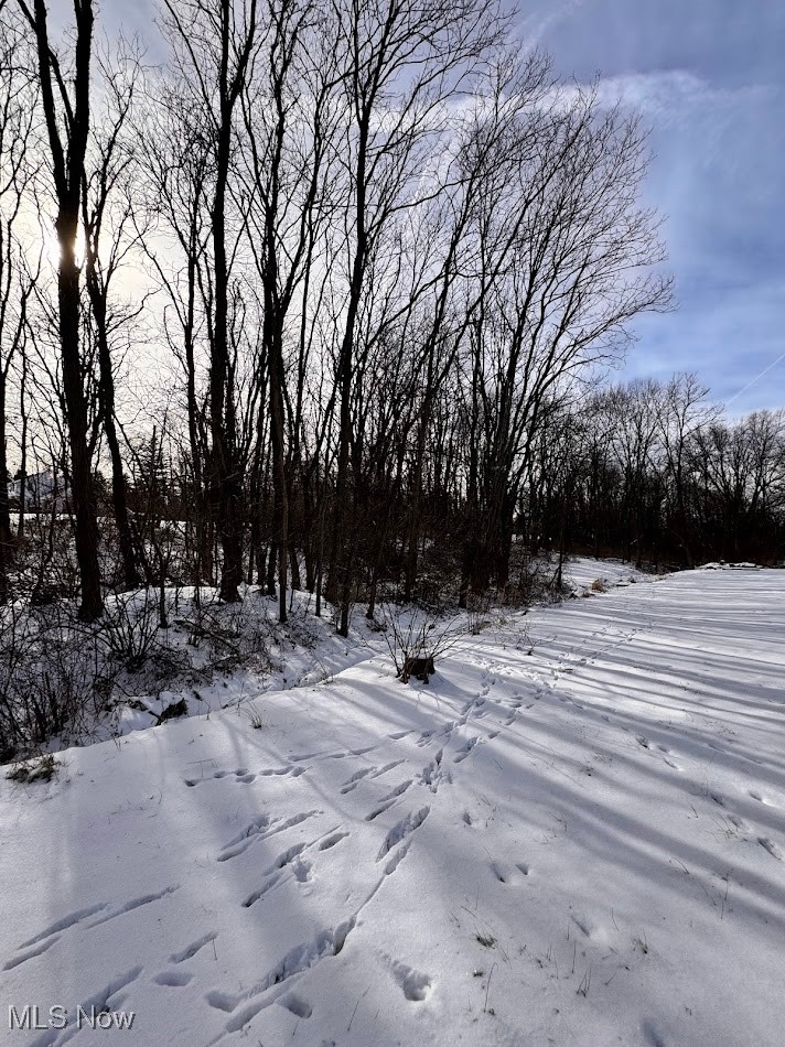 V/l Hartman Road Wadsworth OH 44281