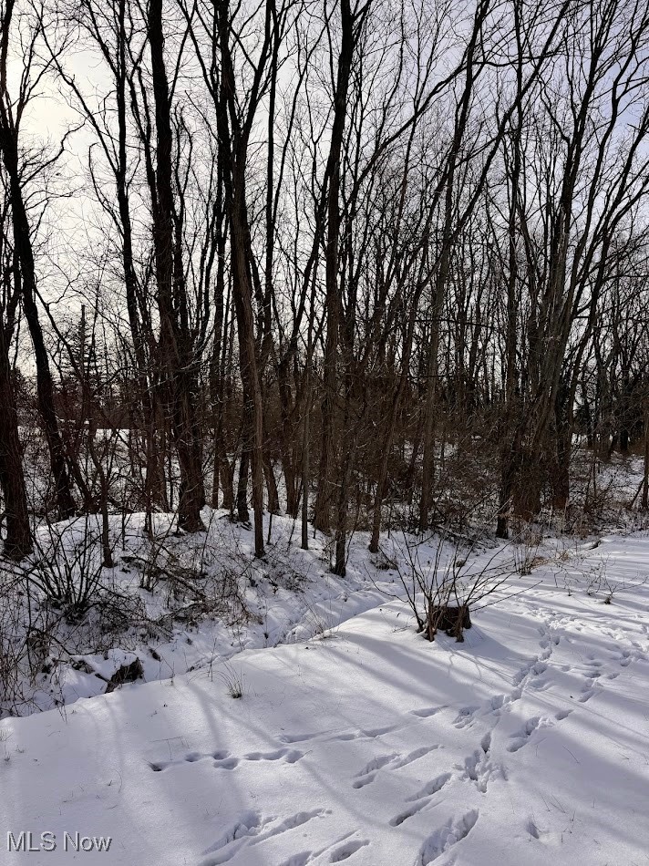 V/l Hartman Road Wadsworth OH 44281