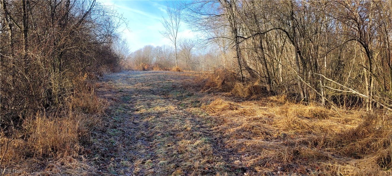 Township Road 399 Coshocton OH 43812