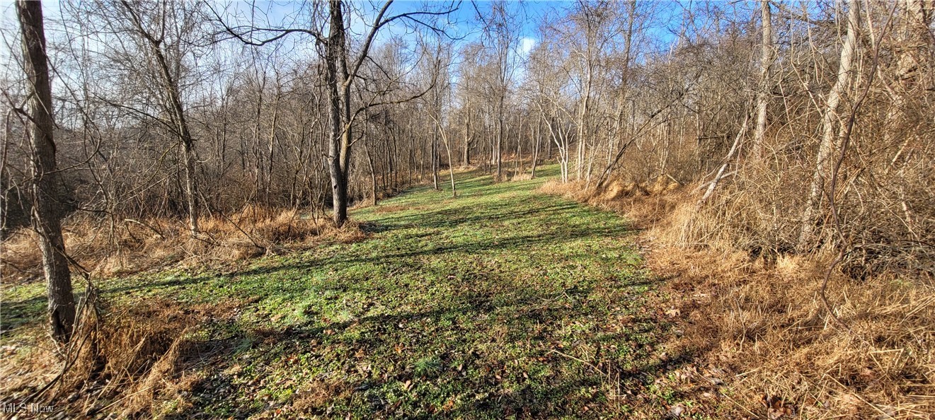 Township Road 399 Coshocton OH 43812