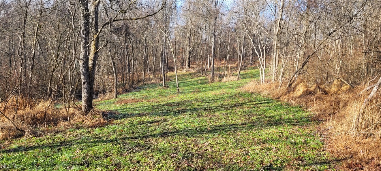 Township Road 399 Coshocton OH 43812
