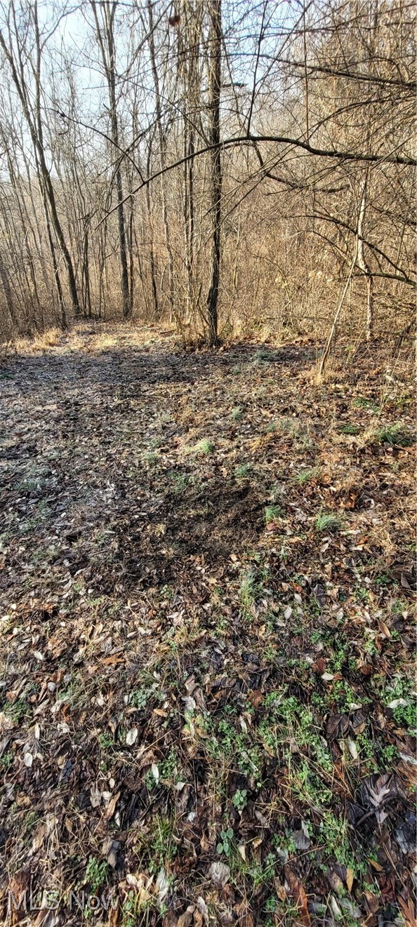 Township Road 399 Coshocton OH 43812