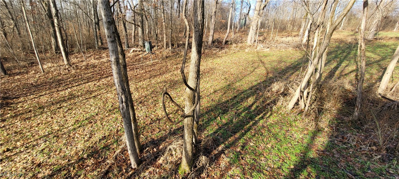 Township Road 399 Coshocton OH 43812