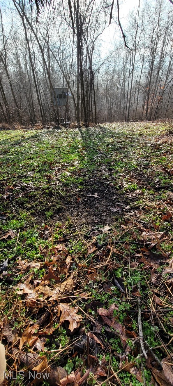 Township Road 399 Coshocton OH 43812