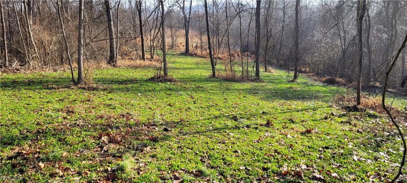 Township Road 399 Coshocton OH 43812