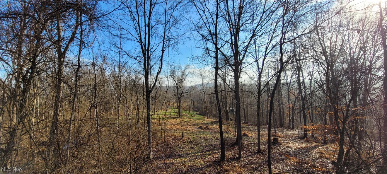 Township Road 399 Coshocton OH 43812