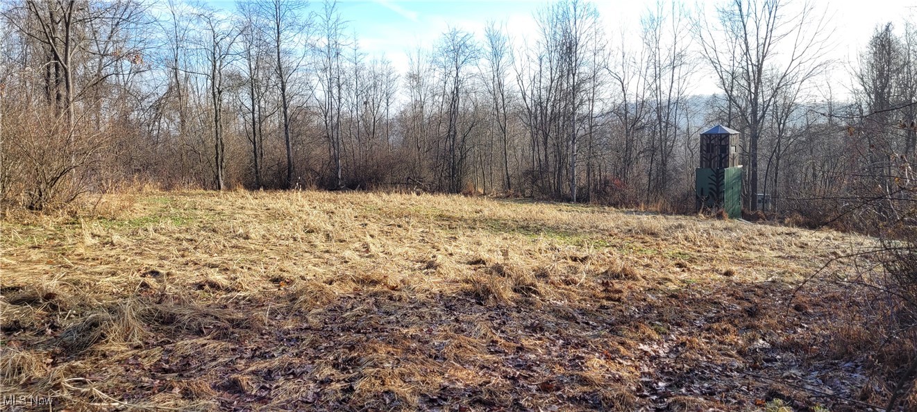 Township Road 399 Coshocton OH 43812