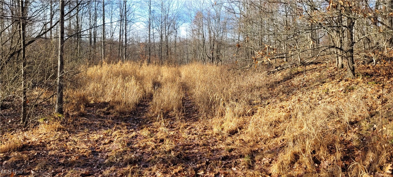 Township Road 399 Coshocton OH 43812