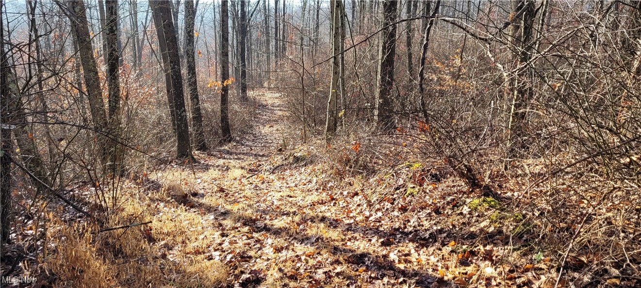 Township Road 399 Coshocton OH 43812