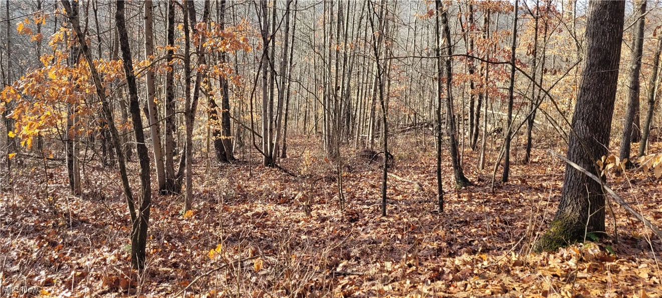 Township Road 399 Coshocton OH 43812