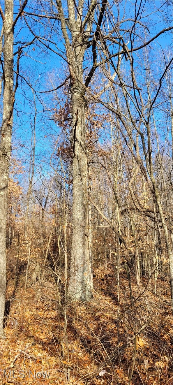 Township Road 399 Coshocton OH 43812