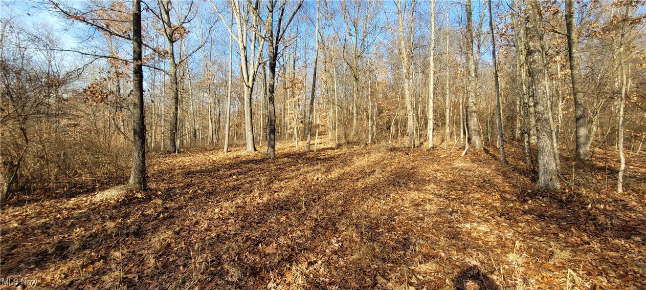 Township Road 399 Coshocton OH 43812
