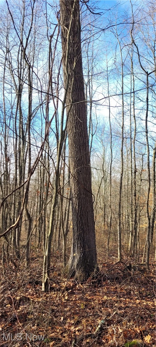Township Road 399 Coshocton OH 43812