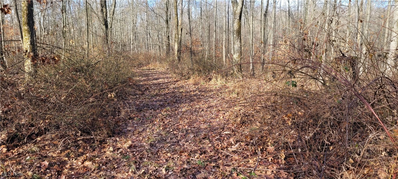Township Road 399 Coshocton OH 43812
