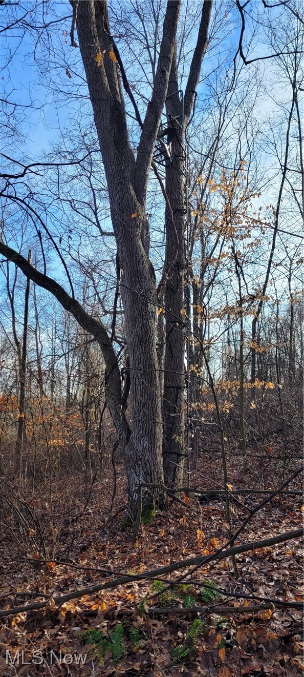 Township Road 399 Coshocton OH 43812