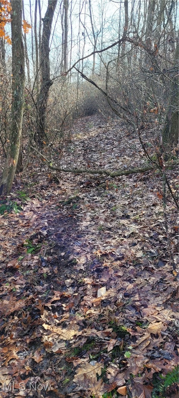 Township Road 399 Coshocton OH 43812