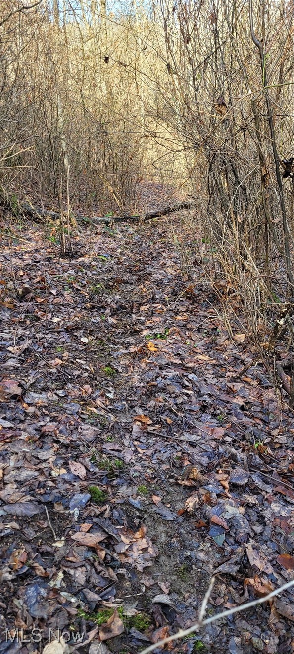 Township Road 399 Coshocton OH 43812