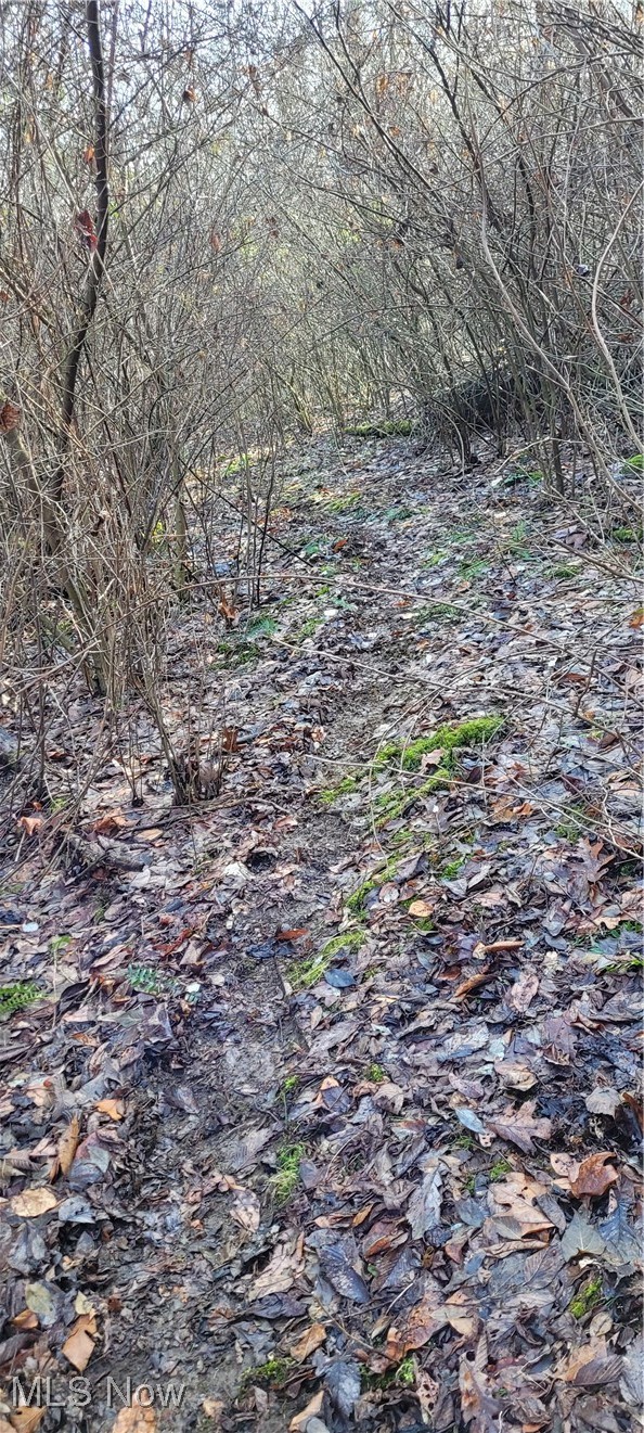 Township Road 399 Coshocton OH 43812