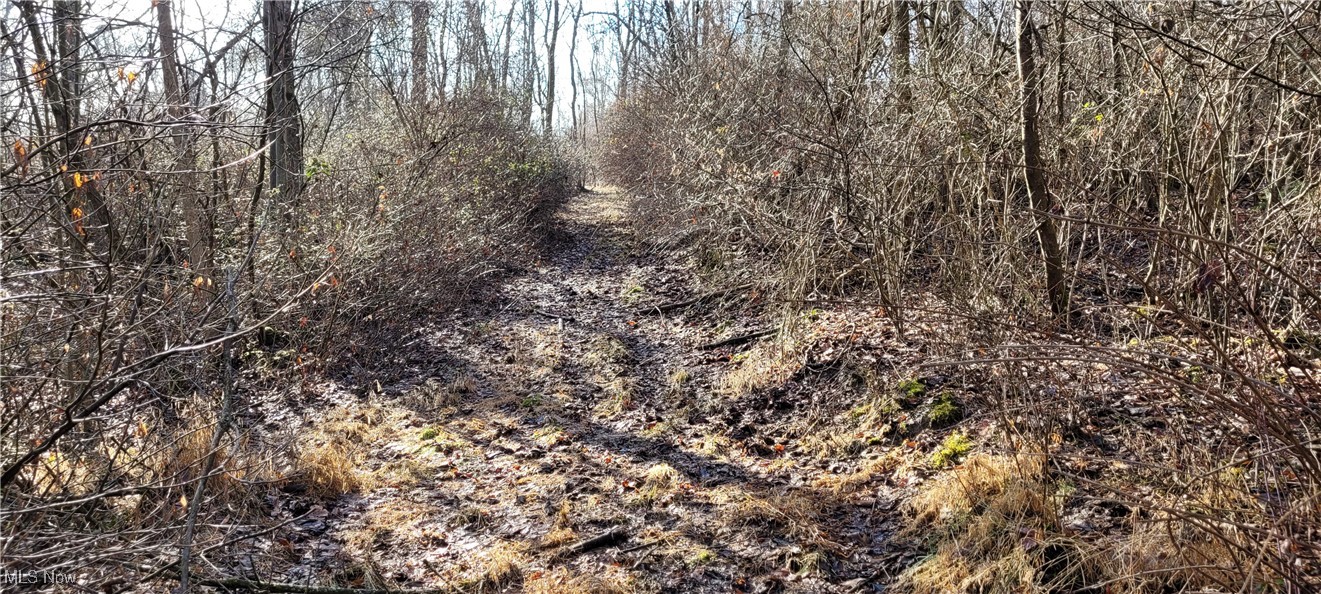 Township Road 399 Coshocton OH 43812