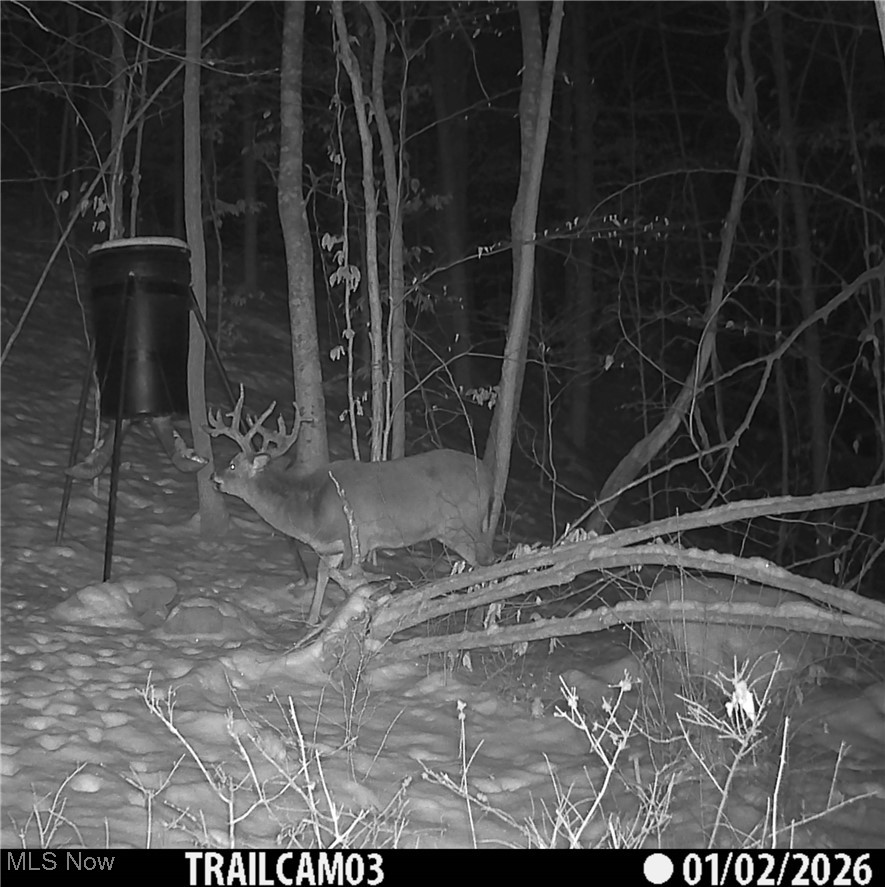 Township Road 399 Coshocton OH 43812