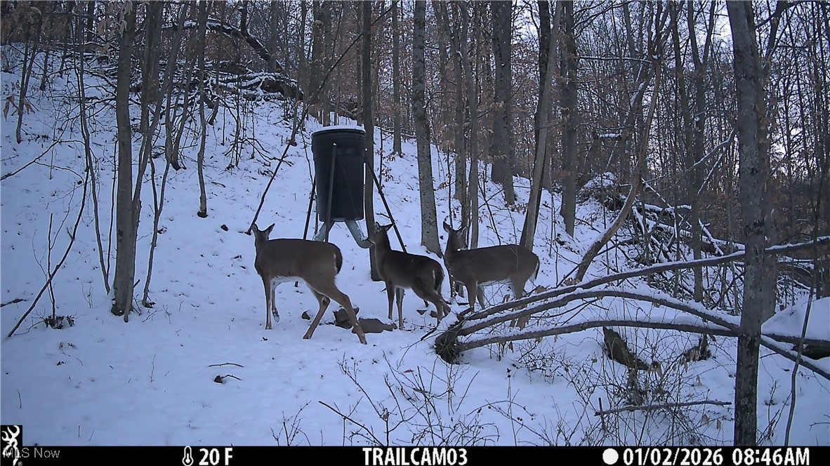 Township Road 399 Coshocton OH 43812