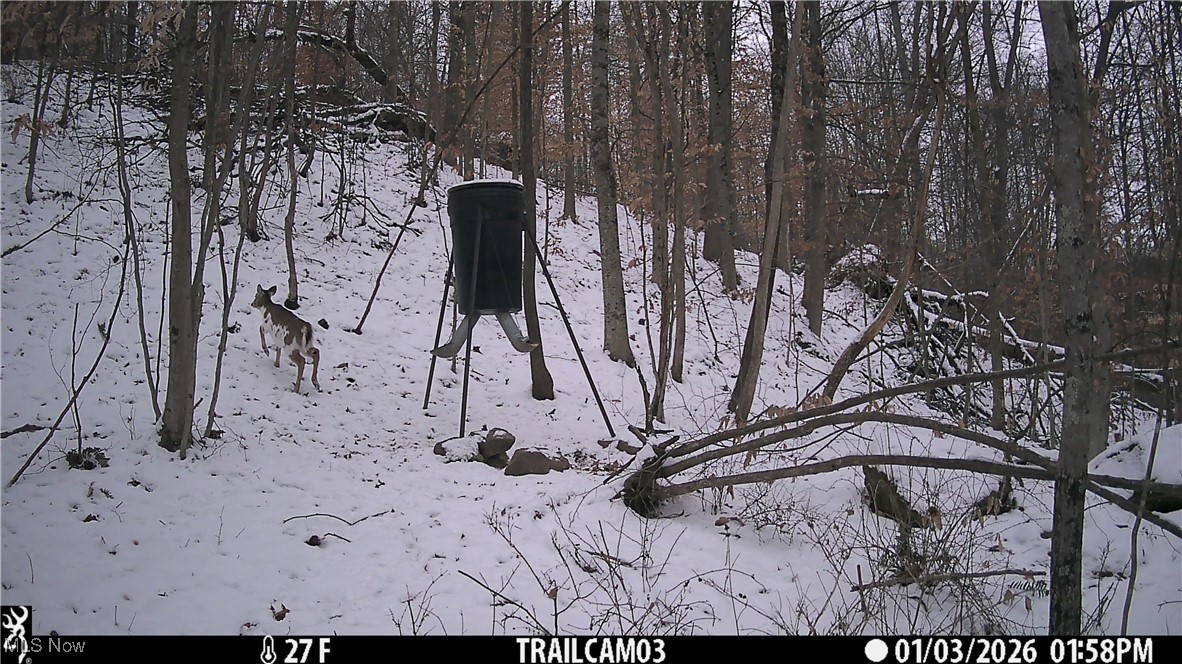 Township Road 399 Coshocton OH 43812