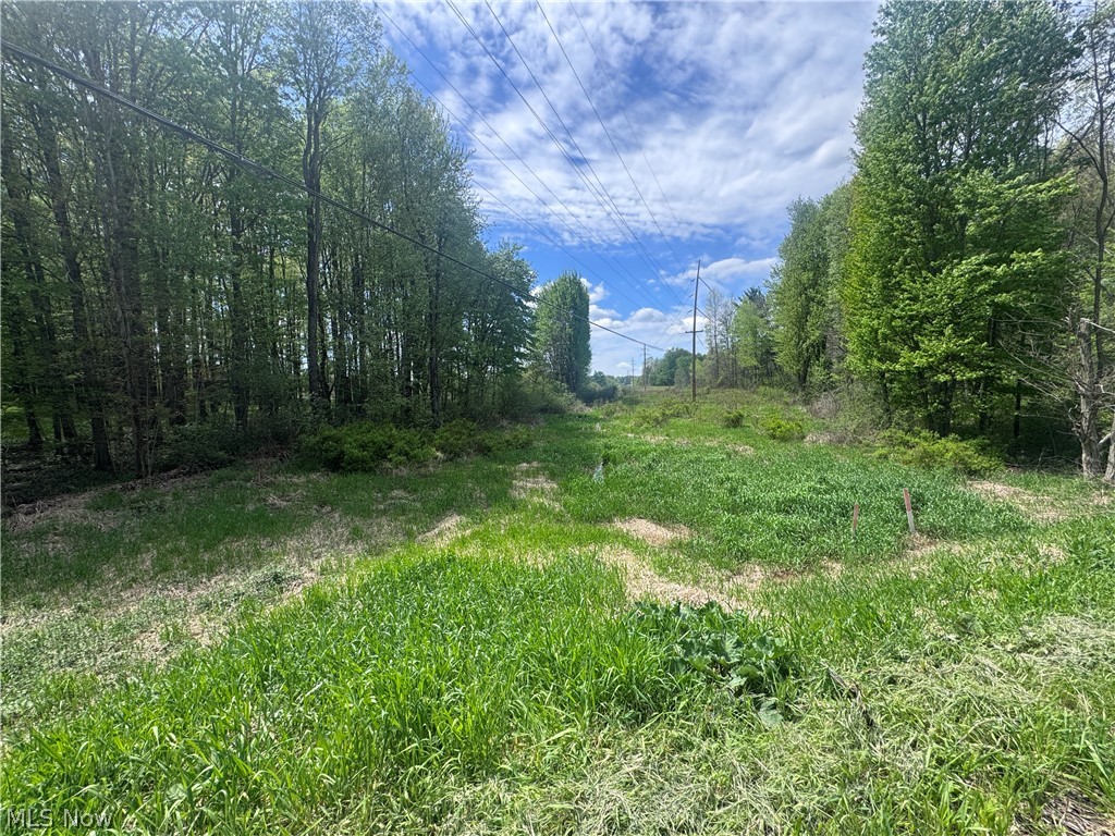 V-l Parkman Road Windham OH 44288