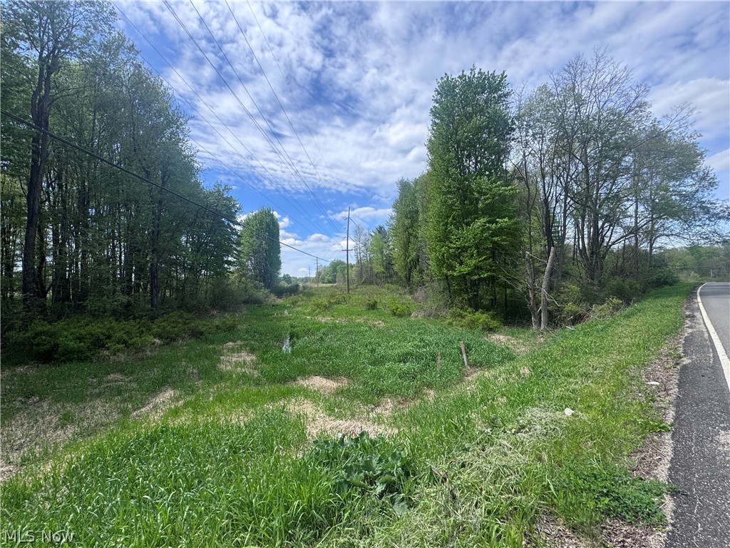 V-l Parkman Road Windham OH 44288