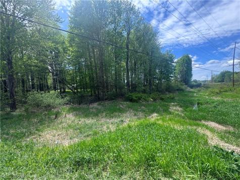 V-l Parkman Road Garrettsville OH 44231