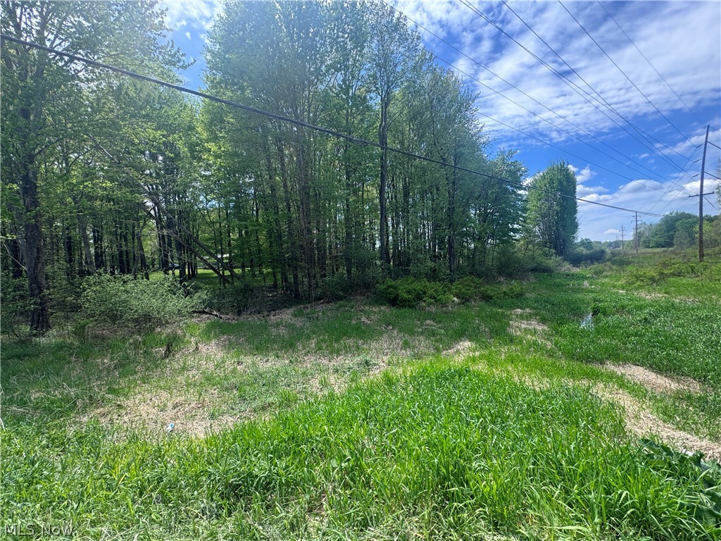 V-l Parkman Road Windham OH 44288