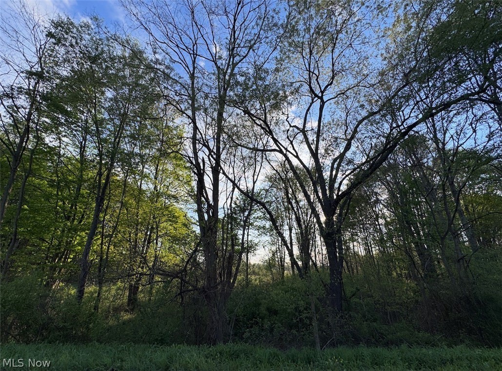 V-l Parkman Road Windham OH 44288