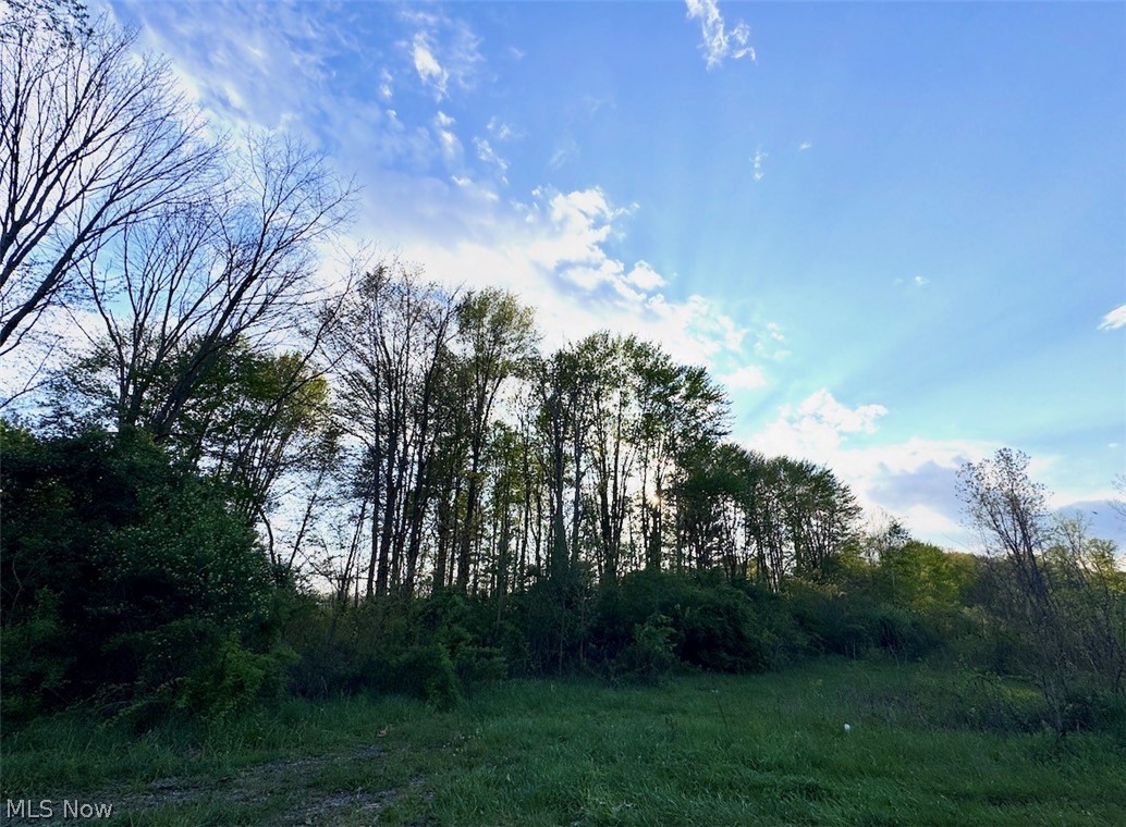 V-l Parkman Road Windham OH 44288