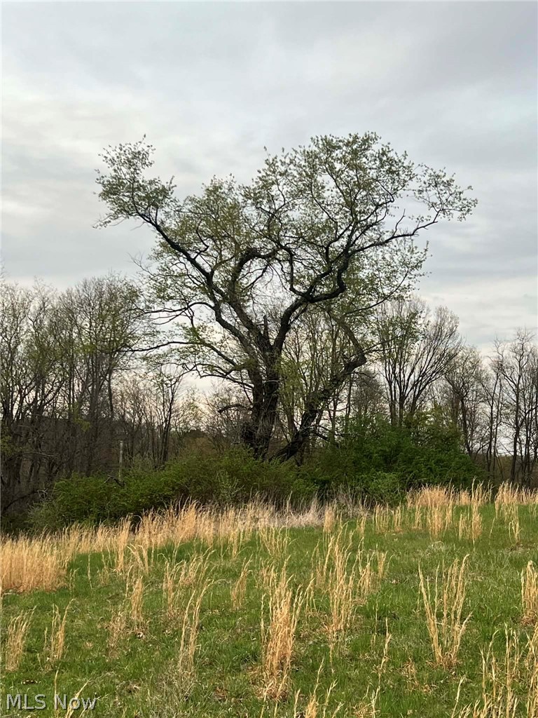 14528 Sprucevale Road East Liverpool OH 43920
