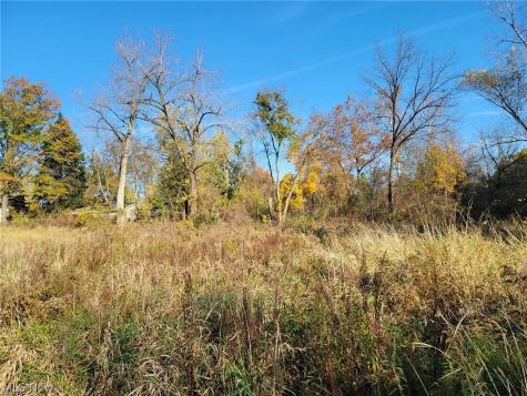 V/l East Avenue Elyria OH 44035