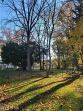 V/l East Avenue Elyria OH 44035
