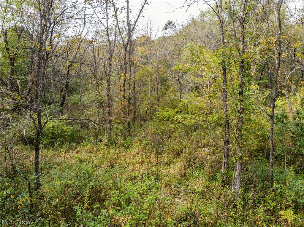 State Route 204 Mount Perry OH 43760