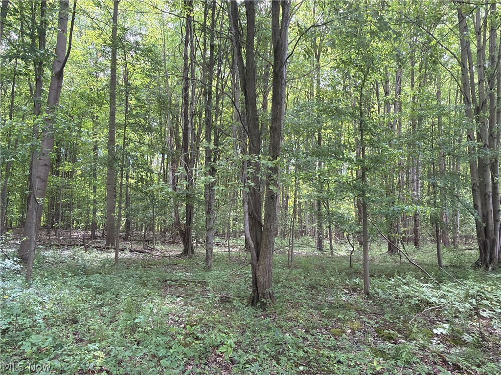 Crosby Cook Road Rome OH 44085