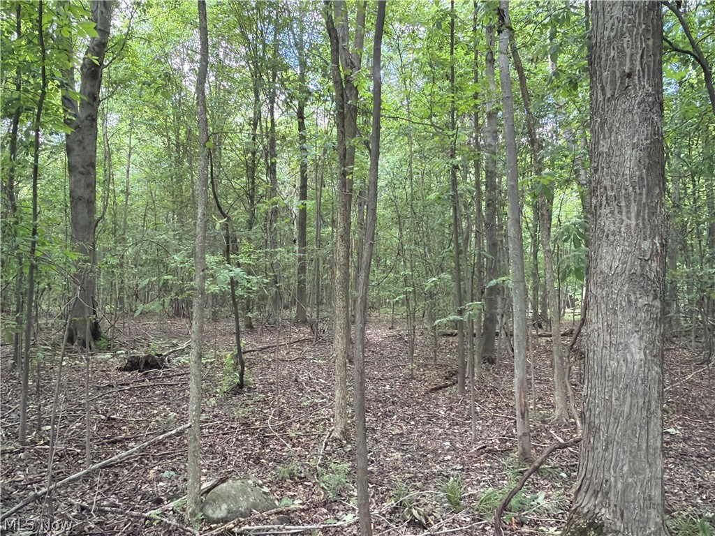 Crosby Cook Road Rome OH 44085