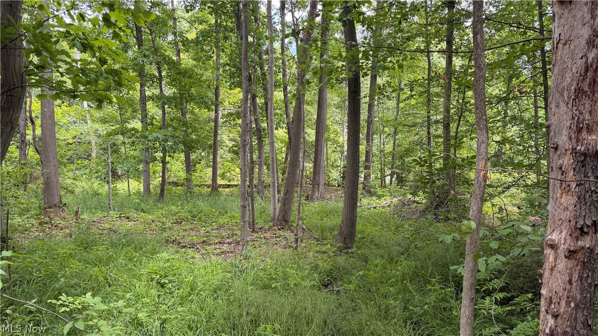 Crosby Cook Road Rome OH 44085