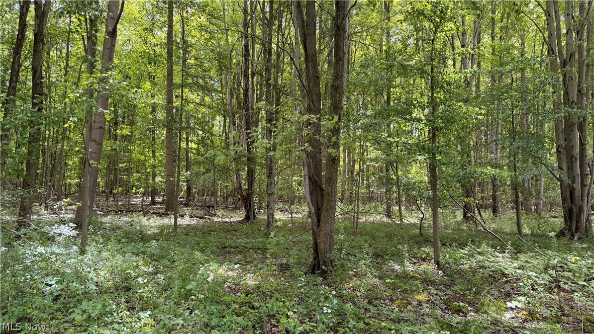 Crosby Cook Road Rome OH 44085