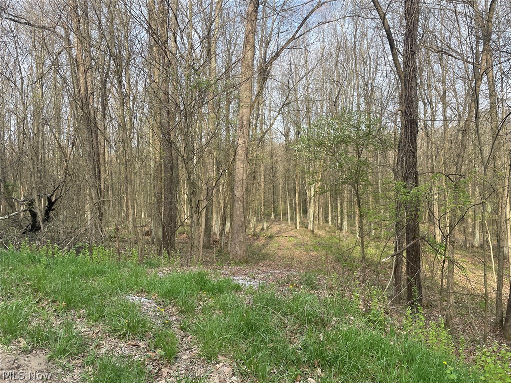 2073 Lilly Road NW Minerva OH 44657