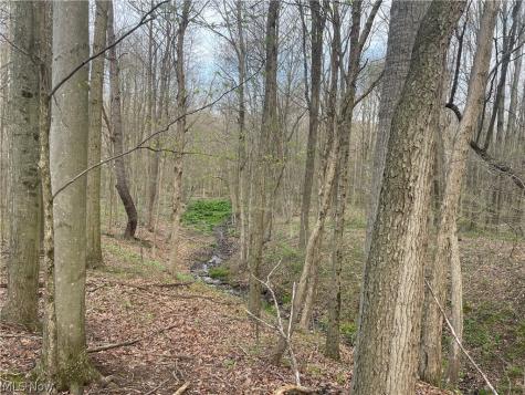 2073 Lilly Road NW Minerva OH 44657