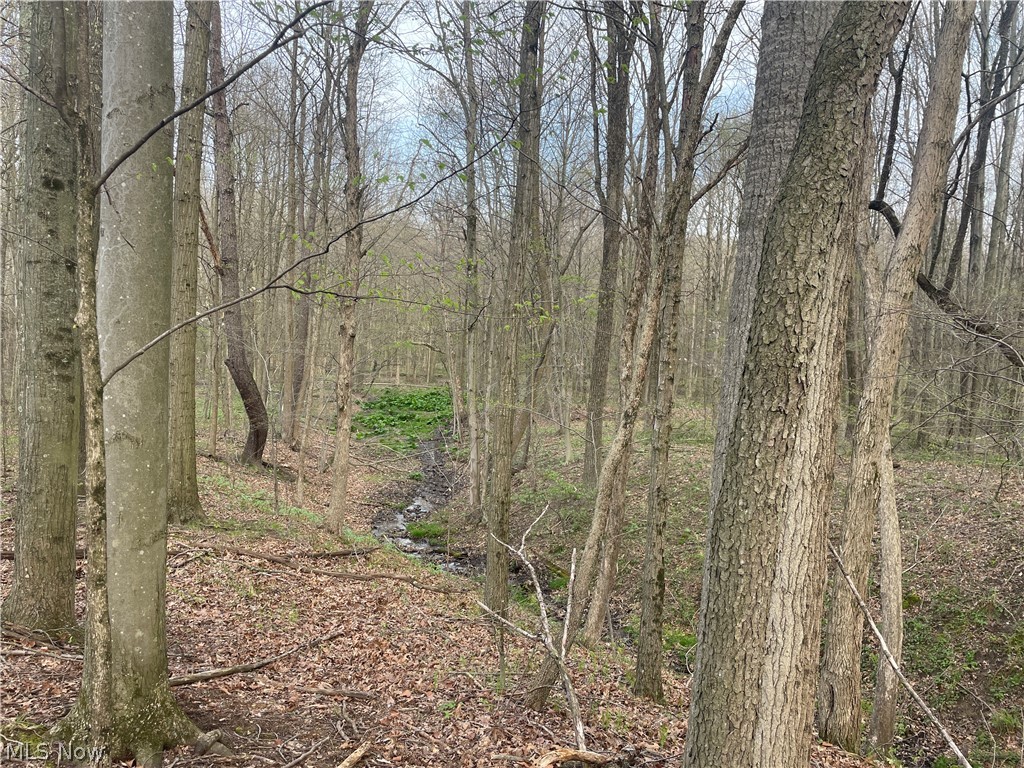 2073 Lilly Road NW Minerva OH 44657