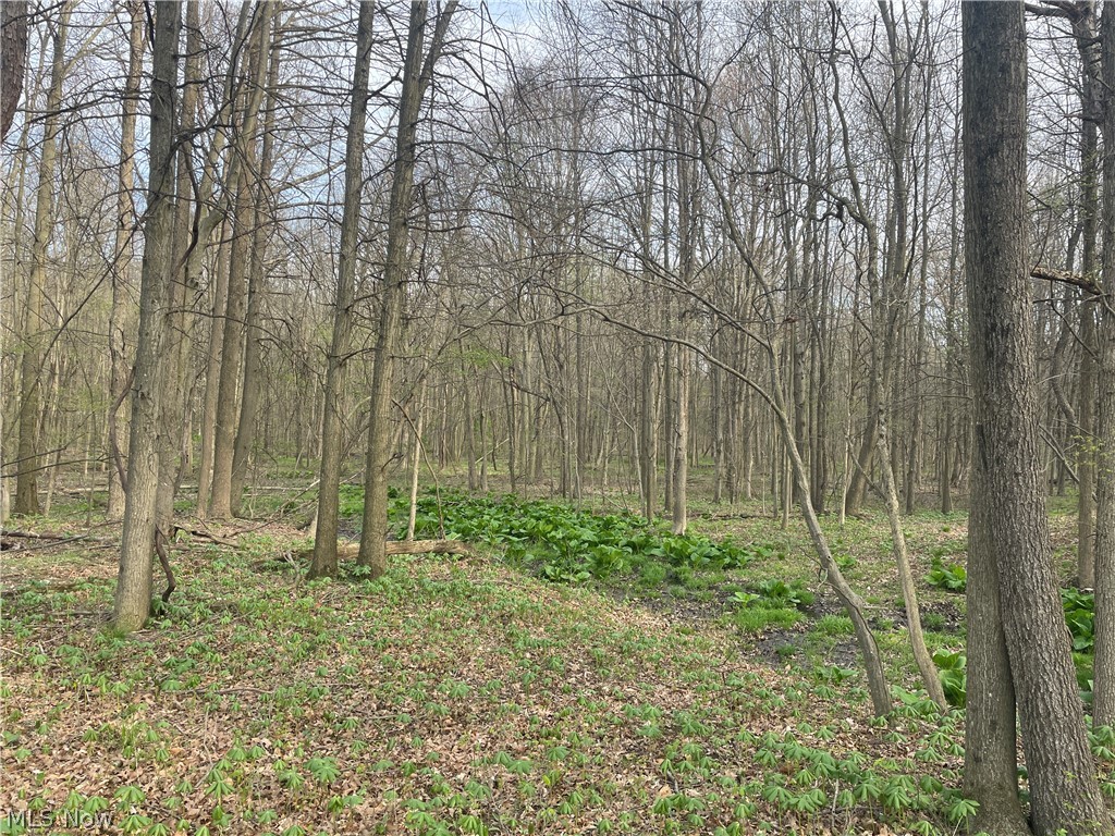 2073 Lilly Road NW Minerva OH 44657