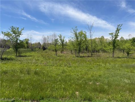 Station Road Valley City OH 44280