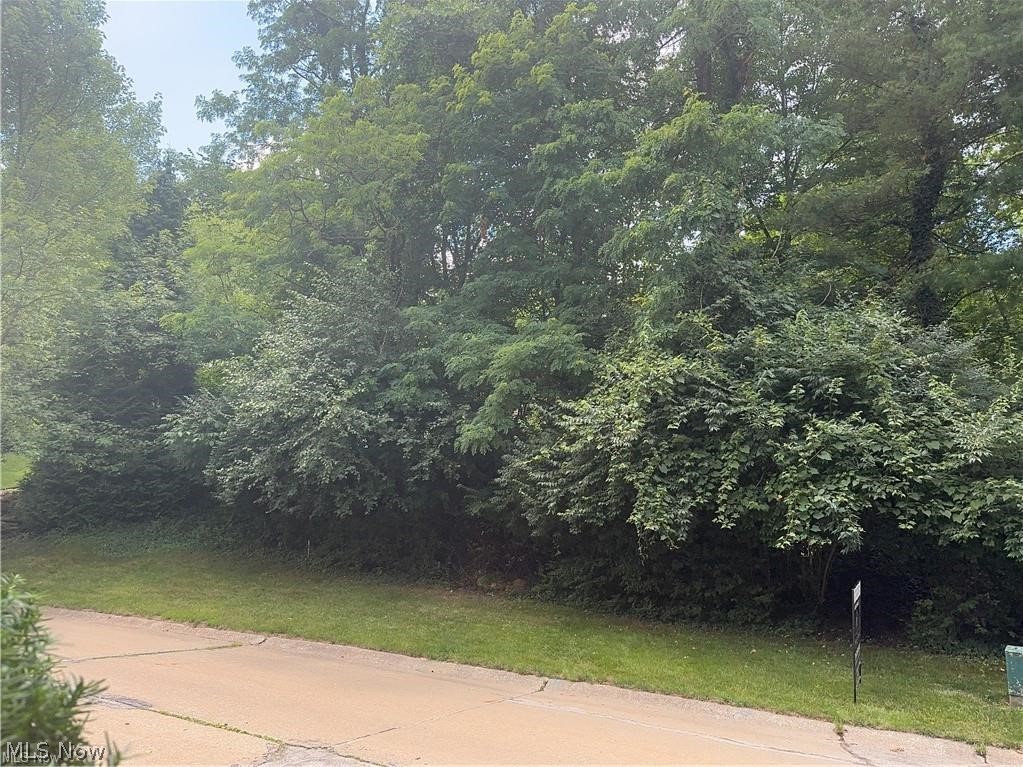 Belleau Wood Drive Akron OH 44303