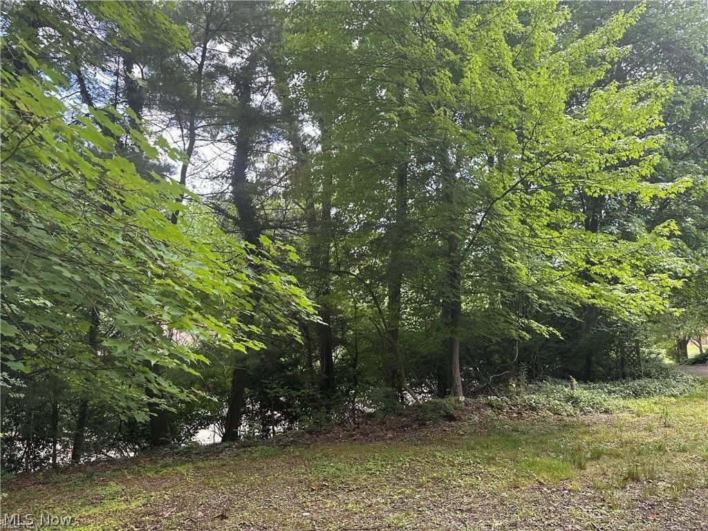 Belleau Wood Drive Akron OH 44303